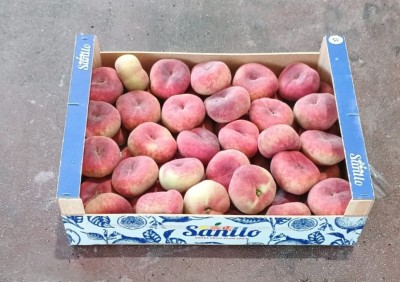 Foto Tabacchiere Varietà Paraguayo Calibro A Origine Spagna Marchio Sanllo  1